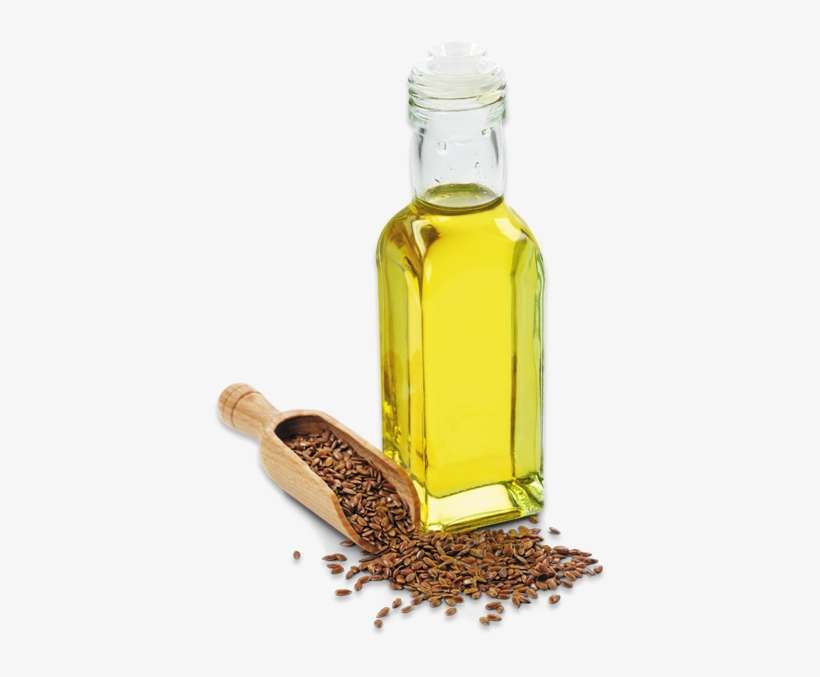 Sarika Ventures Pvt Ltd - Flax Seeds Facts, transparent png download