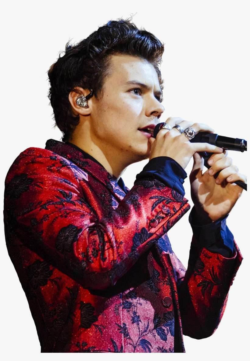 Report Abuse - Harry Styles, transparent png download