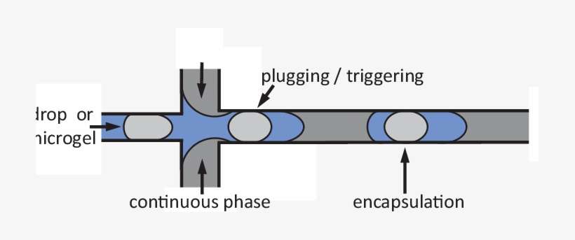 Schematic Of Triggered Drop Formation Device - International Genomics Consortium, transparent png download