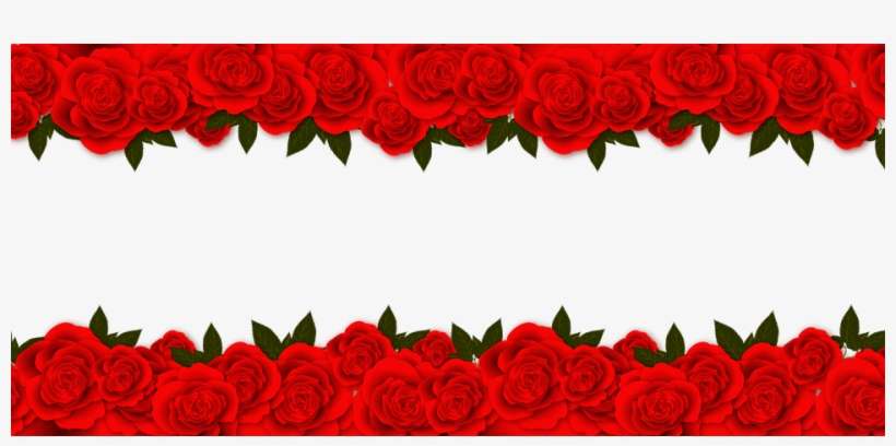 Roses Flowers Red Rose Free Image On Pixabay - Matru Pitru Devo Bhava, transparent png download