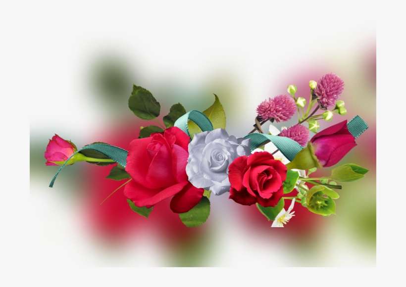 Color Palette Ideas From Flower Pink Rose Family Image - Floribunda, transparent png download