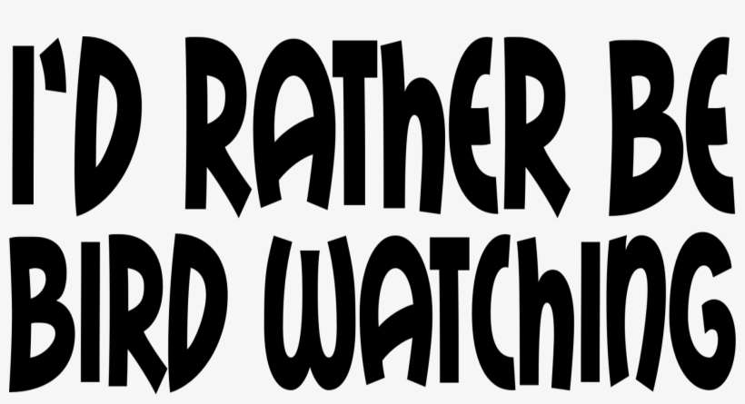 Blogging-smaller - Id Rather Be Bird Watching Mug, transparent png download