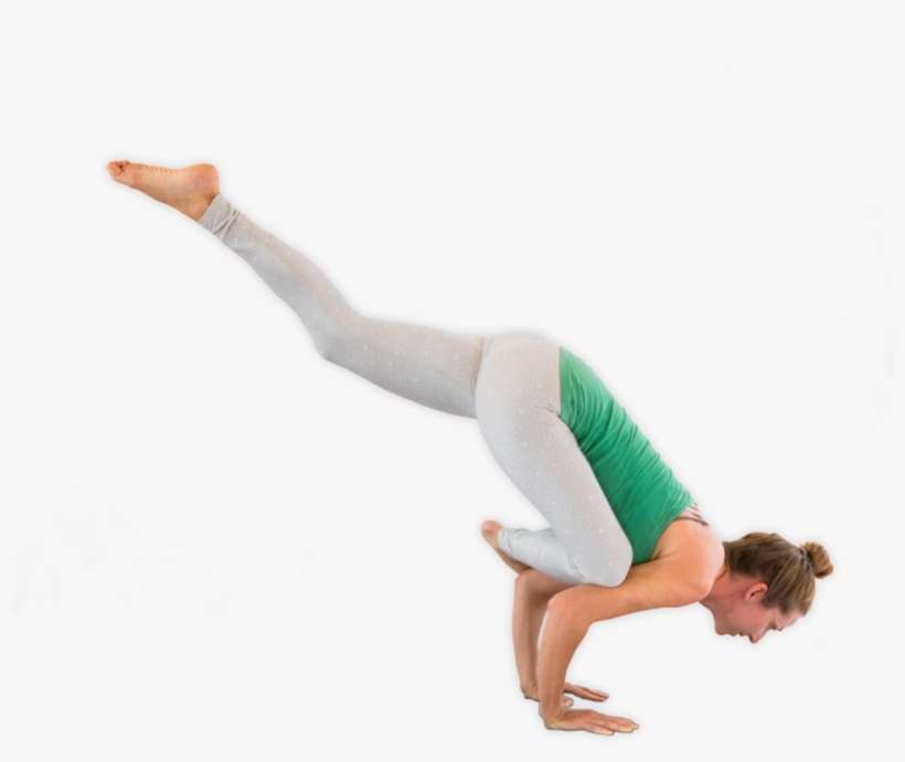 Flying Pigeon Stretch Every Day - Stretching, transparent png download