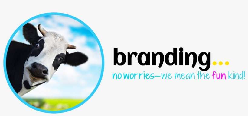 560k Dolphin Bg 12 Jun 2017 - Dieren Van De Boerderij - Koe - Katie Dicker (hardcover), transparent png download