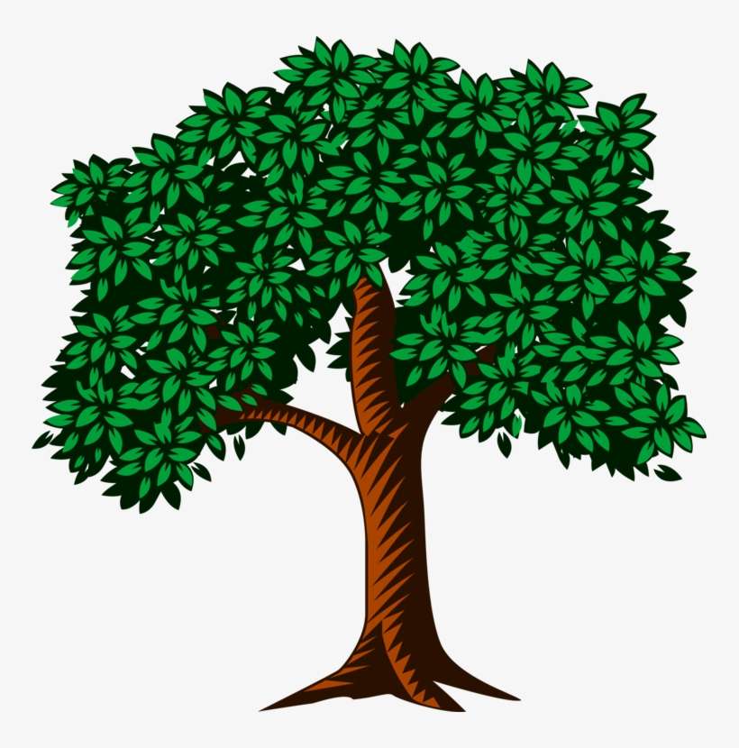 All Photo Png Clipart - Clip Art, transparent png download