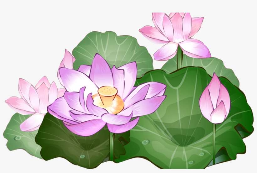 Lotus Clipart Transparent Pencil And In Color Lotus - Lotus Flower Png Clipart, transparent png download