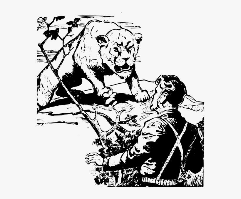 Lion Png - Lion, transparent png download