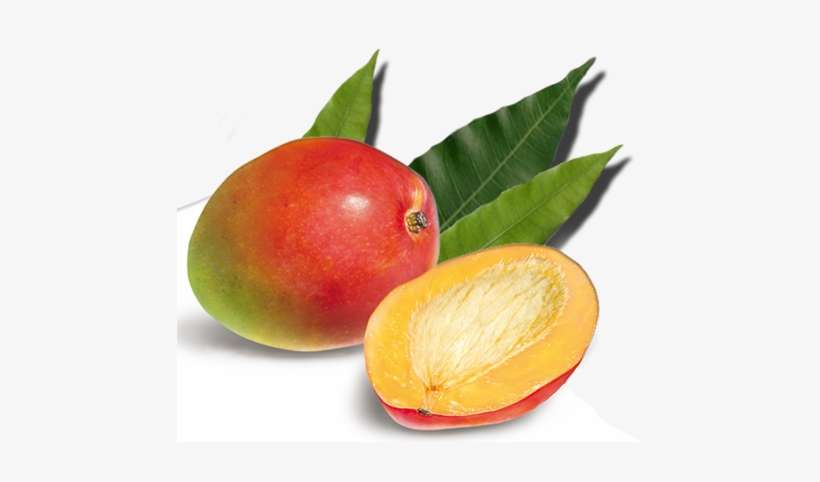 Decoration - Mangue, transparent png download