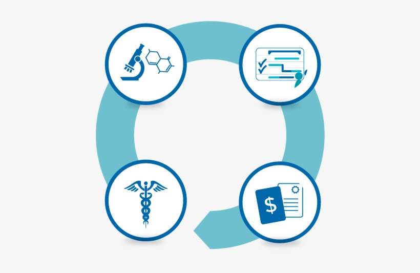 Identification And Establishment Of Targeted Partnerships - Business, transparent png download