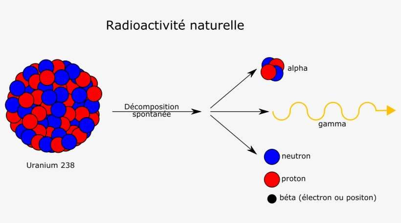 This Graphics Is Radioactivite Nature About Atom, Nucleus, - Radio Activity, transparent png download