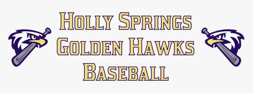 Golden Hawks Baseball - Air Force Falcons Baseball Team, transparent png download