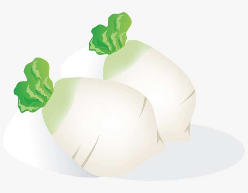 Pin Eat Healthy Food Clipart - รูป หัว ไช เท้า การ์ตูน, transparent png download