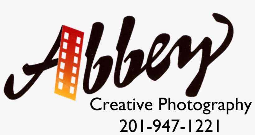 Bergen County, Palisades Park Nj, Wedding Photographers - Complete Idiot's Guide To Digital Photography, transparent png download