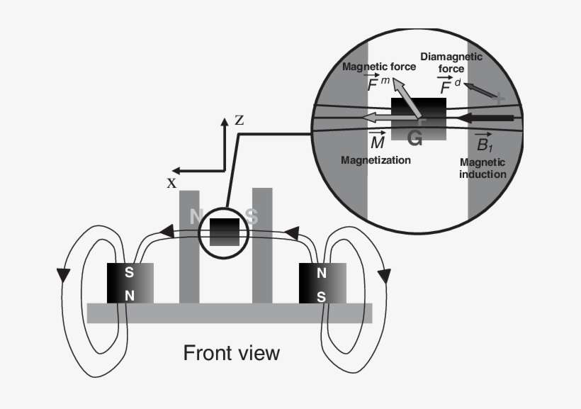 Magnetic Polarity Arrangement And Forces Scheme Interaction - Diagram, transparent png download