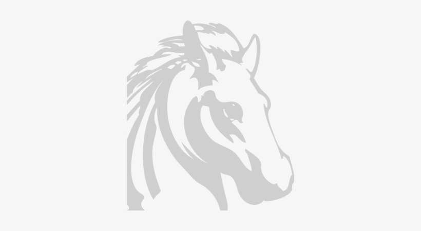 About - Stable, transparent png download