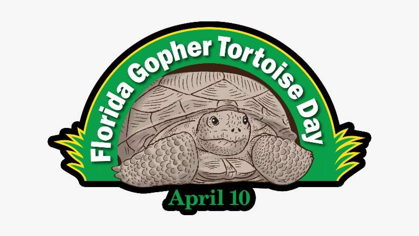 Florida Gopher Tortoise Day, transparent png download
