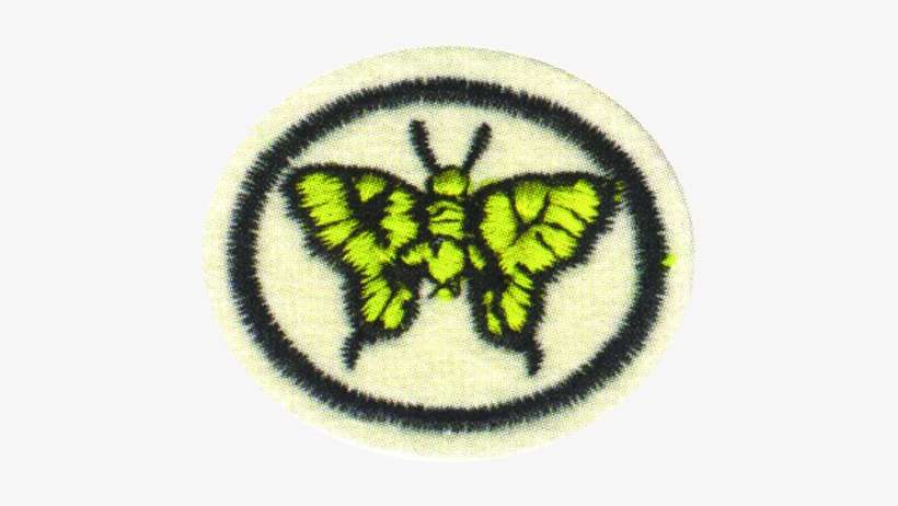 Moths And Butterflies Honor, transparent png download