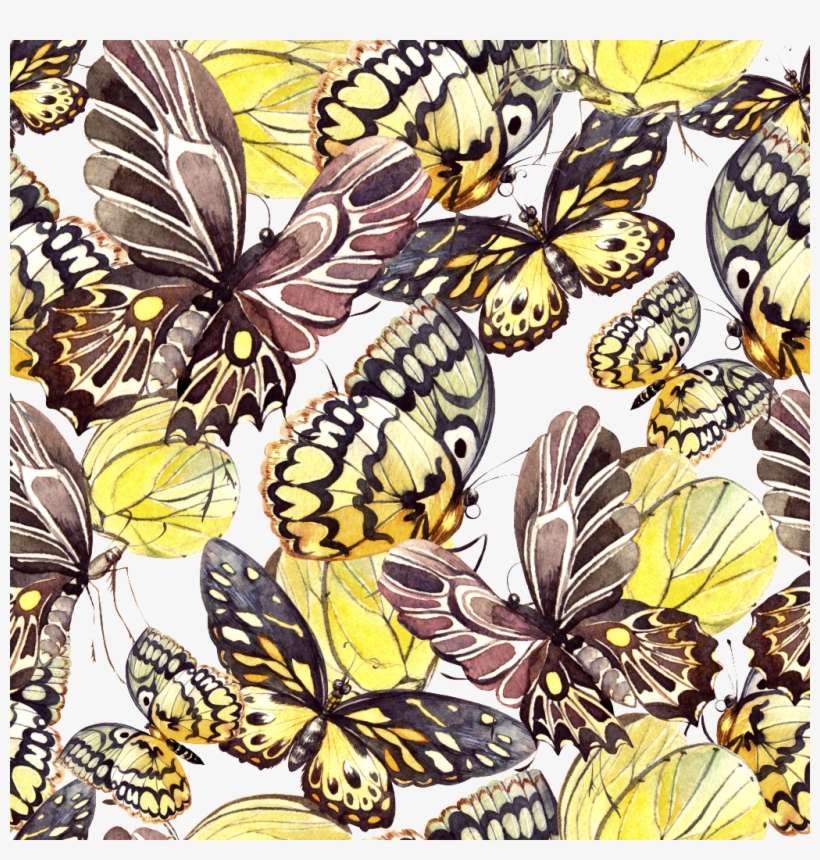 Hand Painted Brown Butterfly Specimen Background Png - Illustration, transparent png download
