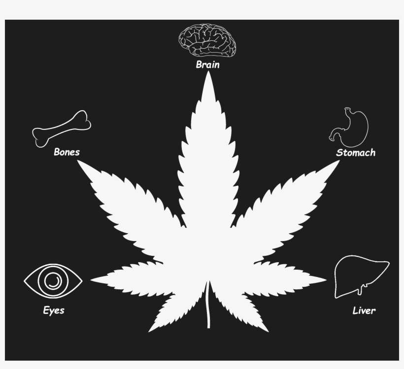 Cannabis, transparent png download