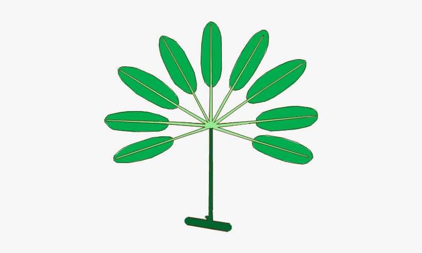 Leaf Morphology Type Palmately-compound - Animated Spinner, transparent png download