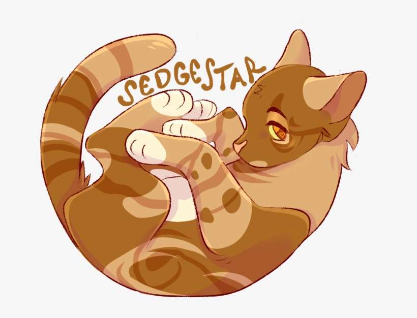 Cat Yawns, transparent png download