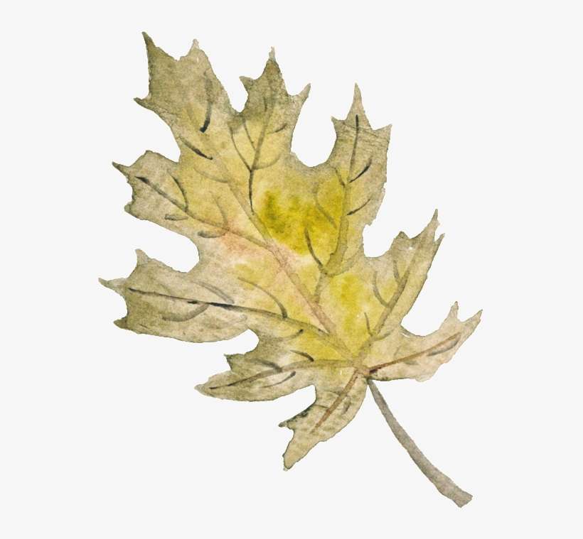 Autumn Leaf Decoration Png - Leaf, transparent png download