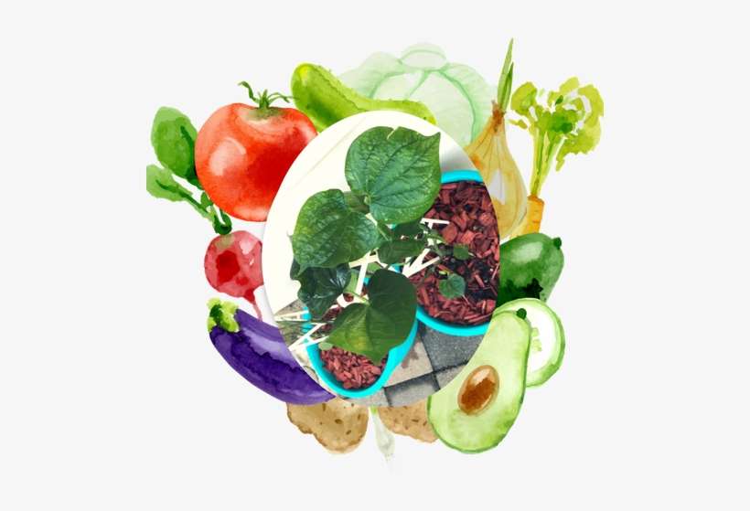 Beatle Leaf Squeeee - Dia Nacional De La Nutricion, transparent png download