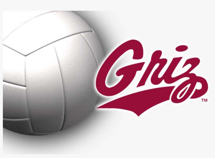 Montana Grizzlies Volleyball Drops Opener At Uc Riverside - Montana Grizzlies, transparent png download