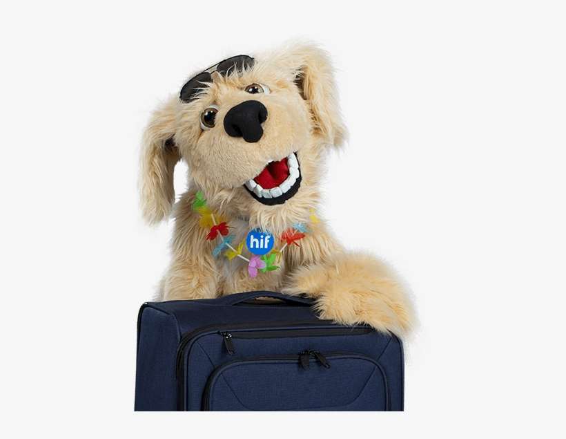 Important Information Regarding Weather In New Zealand - Companion Dog, transparent png download