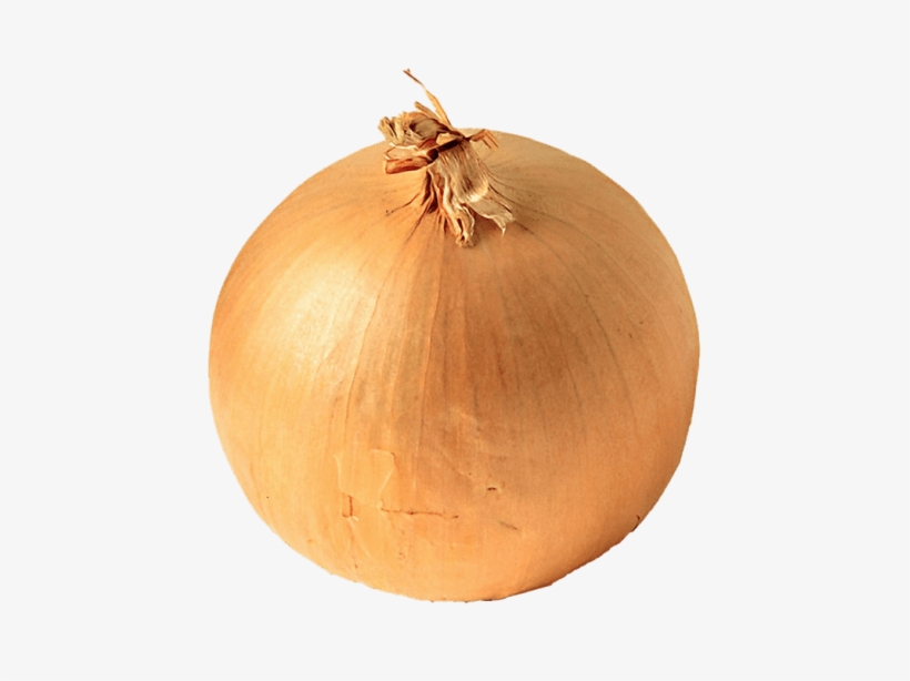 Free Png Onion Png Images Transparent - Onion Png, transparent png download