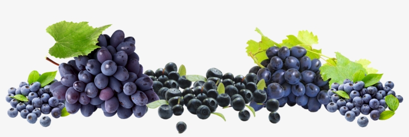 Free Grapes Png - 21 Days Of Eating Mindfully By Lorrie Jones, transparent png download