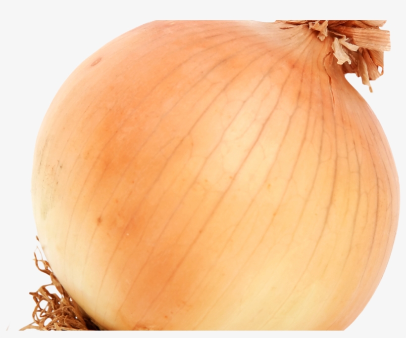 Brown Onion Png Image - Onion Png, transparent png download