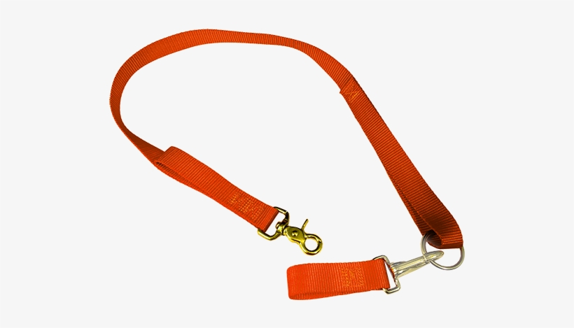 Dog Belt Png, transparent png download