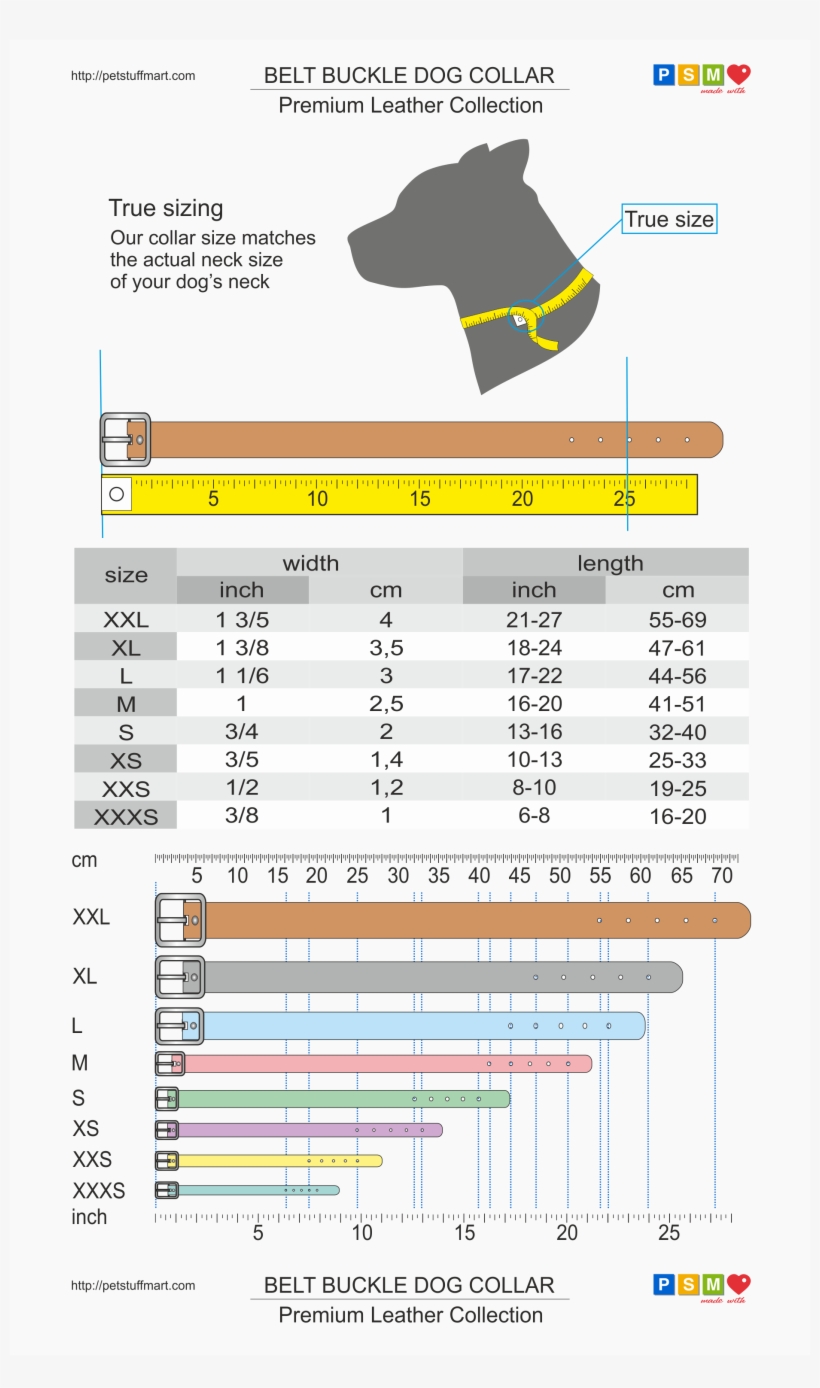 Belt Buckle Dog Collar Sizing Chart Petstuffmart - 1 Dog Dog Collar Measurements, transparent png download
