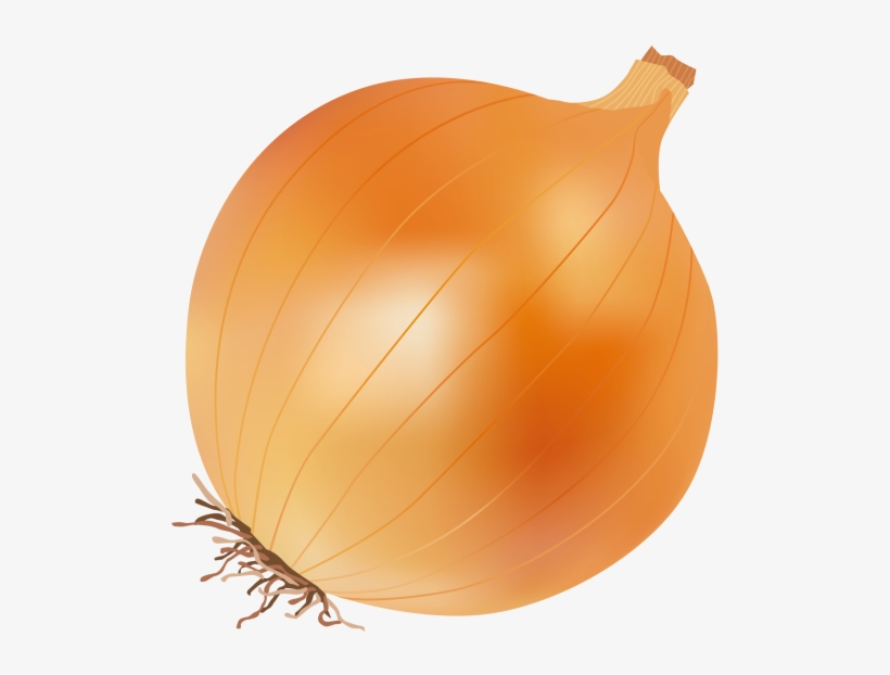 Onion - Yellow Onion, transparent png download