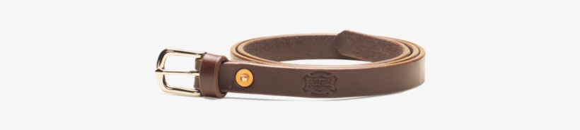 Fall 2018 Collection Dress Belt- Brown - Strap, transparent png download