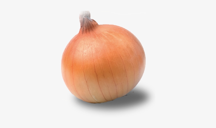 Onion Png Semences D'oignon Pour Latitudes Tropicales - Yellow Onion, transparent png download