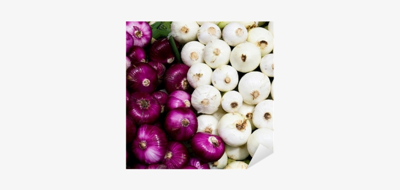 Free White Onion Png - White Onion, transparent png download