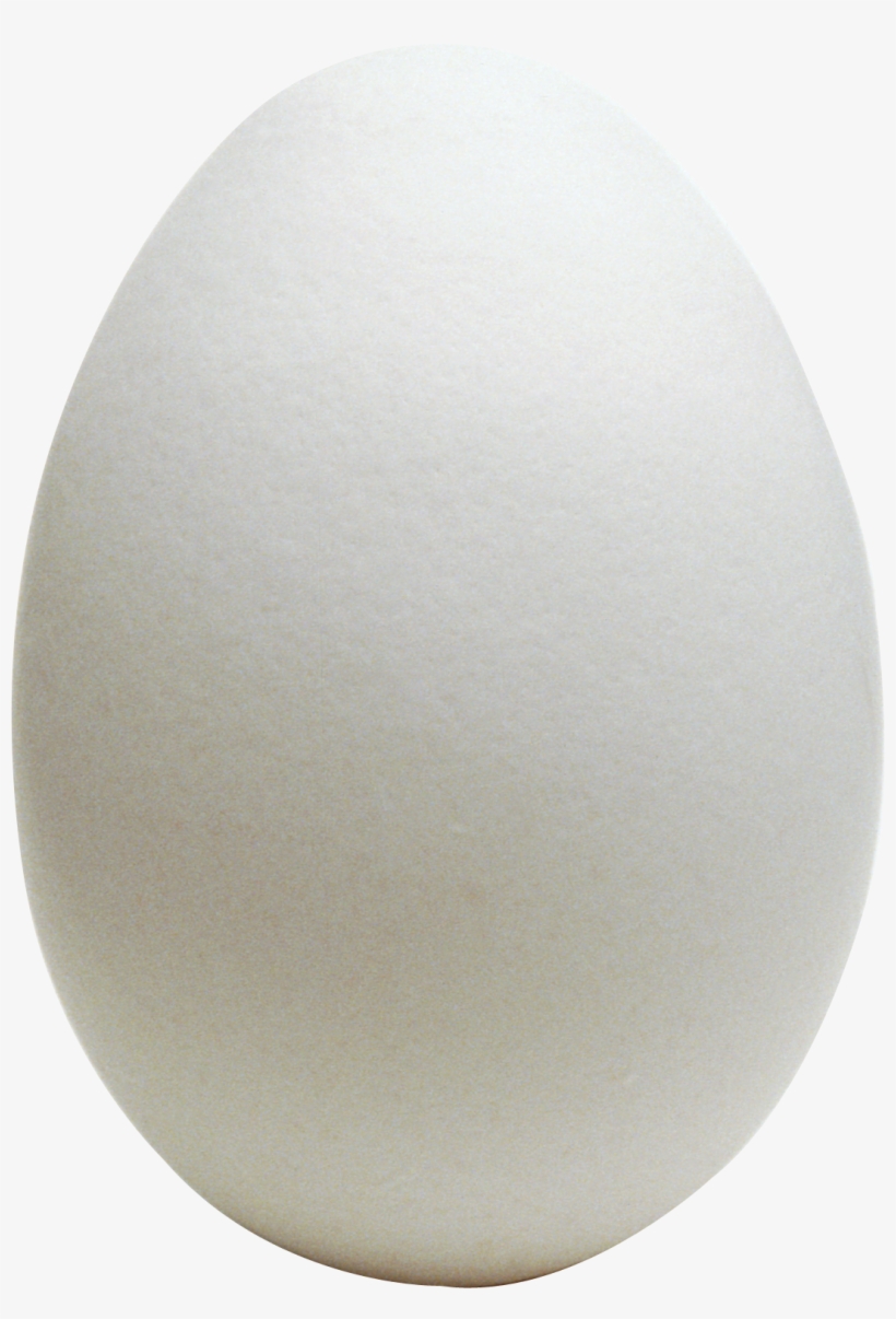 Download - Egg Picture Png, transparent png download