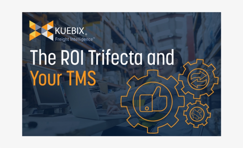 The Roi Trifecta And Your Tms - Fête De La Musique, transparent png download