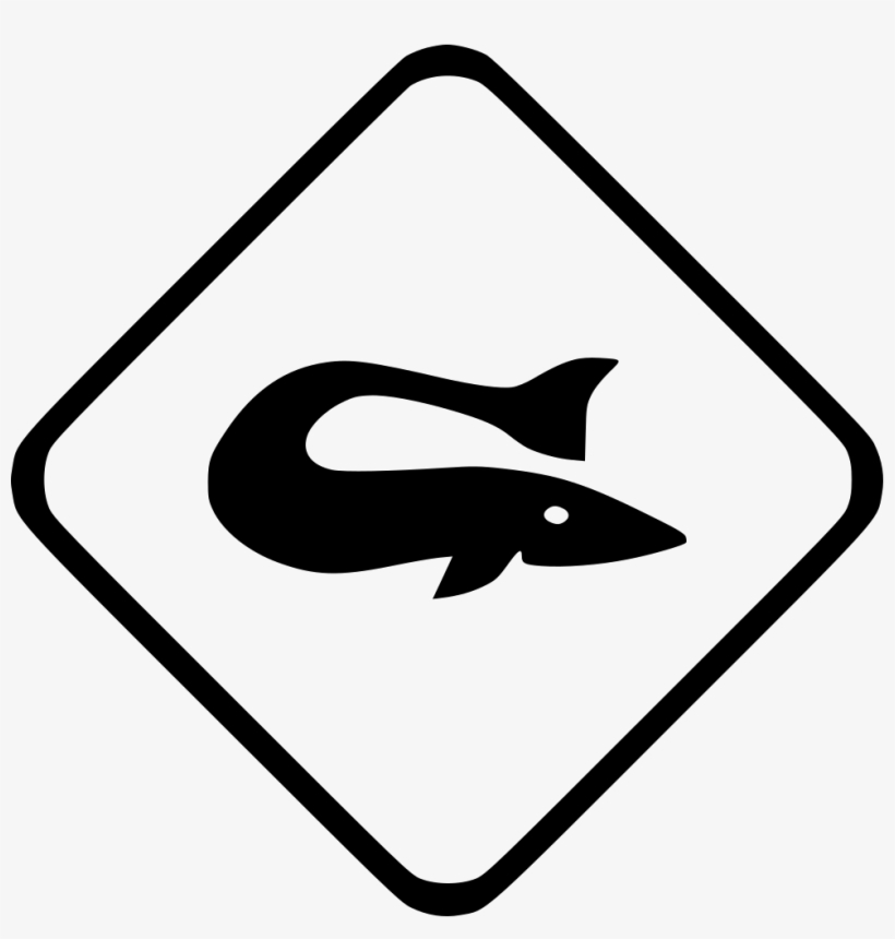 Fish Beluga Sea Ocean Comments - Fish, transparent png download