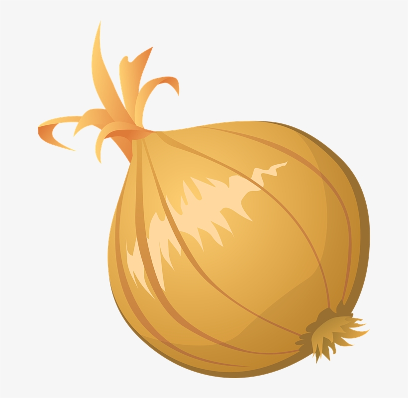 Download Onion Vector Clipart Hq Png Image - Onion Clipart Png, transparent png download