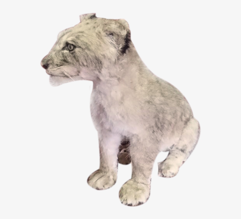 Baby Lion Sitting Full Mount Bl2 - Lion, transparent png download