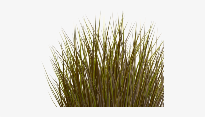 Full Delivery Contracting Where Payment Is Associated - Grass Leaves Texture Png, transparent png download