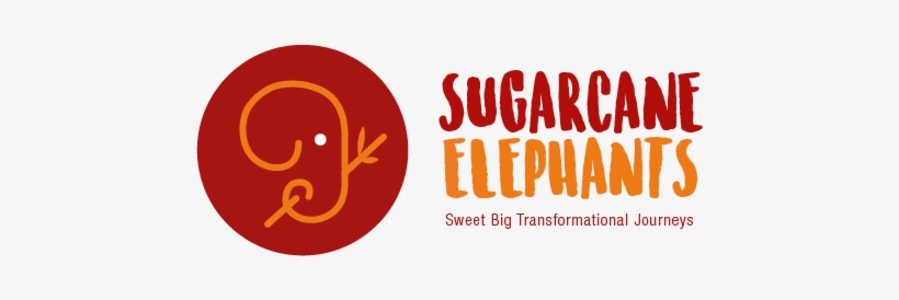 Microsoft Picture It!, transparent png download