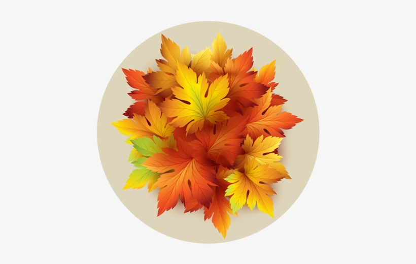 Autumn Yellow Leaves - 벡터 일러스트 타이포그래피 잎 가을 일러스트, transparent png download