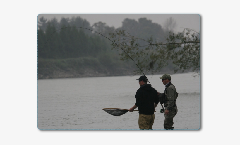 Best Fly Fishing With Bc Sportfishing Group - Bc Sportfishing Group, transparent png download