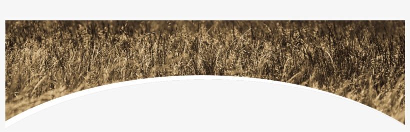 Charles County, Maryland, transparent png download