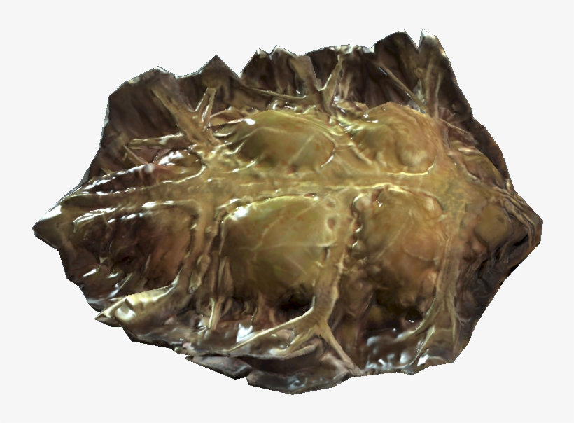 Fo4 Radroach Meat - Meat, transparent png download