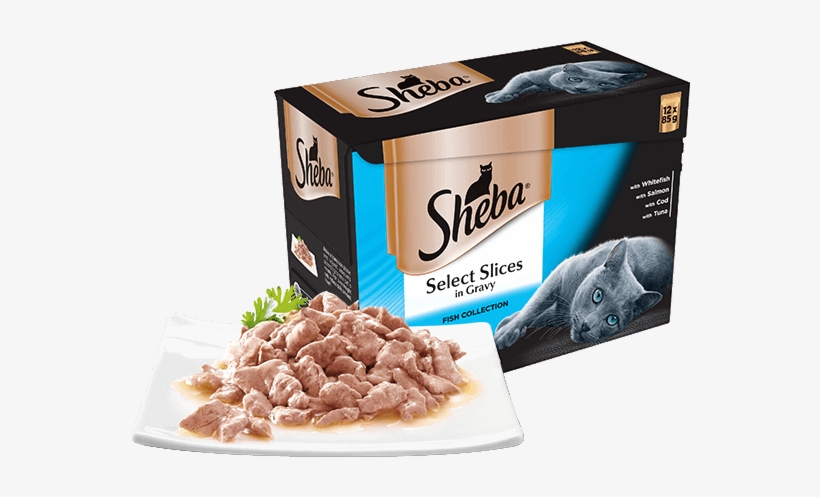 Fish Collection Cat Food Pouches - Sheba Cat Food, transparent png download